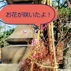 彌彦神社　(伊夜日子神社)(北海道)