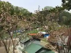 白鹿松神社(北海道)