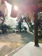 川田八幡神社の建物その他