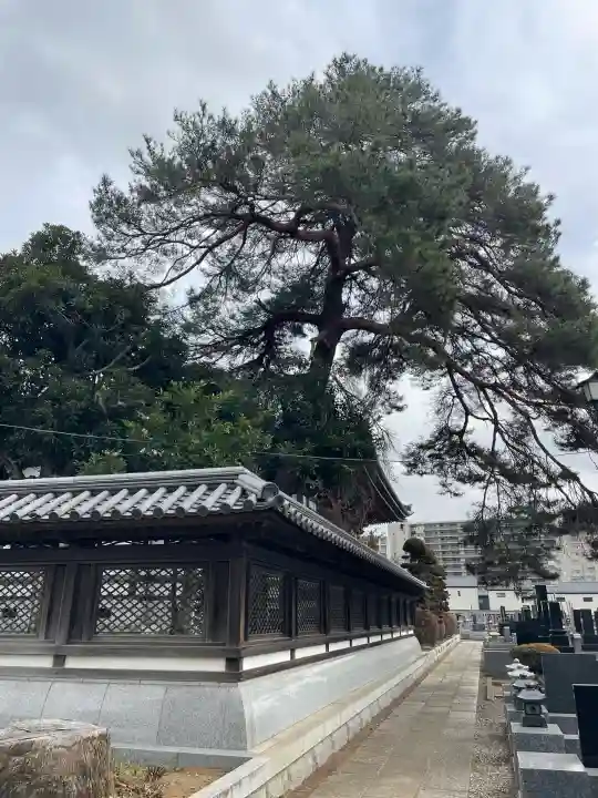日乗院の{uncategorized: "未分類", other: "その他", undefined: "問題あり", building: "その他建物", grave: "お墓", sacred_gate: "鳥居", guardian: "狛犬", statue: "像", buddha: "仏像", history: "歴史", nature: "自然", garden: "庭園", animal: "動物", pagoda: "塔", temizu: "手水舎", mountain_gate: "山門・神門", sanctuary: "本殿・本堂", subordinate: "末社・摂社", art: "芸術", scenery: "景色", jizo: "地蔵", ema: "絵馬", goshuin: "御朱印", omikuji: "おみくじ", items: "授与品その他", amulet: "お守り", goshuincho: "御朱印帳", eats: "食事", festival: "お祭り", votive_dance: "神楽", shichigosan: "七五三参", wedding: "結婚式", experience: "体験その他", initially: "初詣", around: "周辺", anti_infection: "感染症対策"}