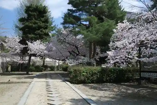 萬福寺(京都府)