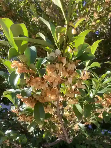 三輪神社の自然