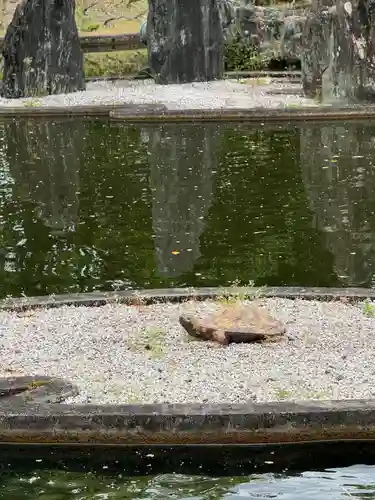 松尾大社(京都府)