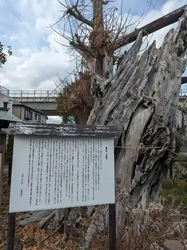 八幡宮(神奈川県)