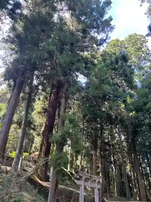大宮温泉神社(栃木県)