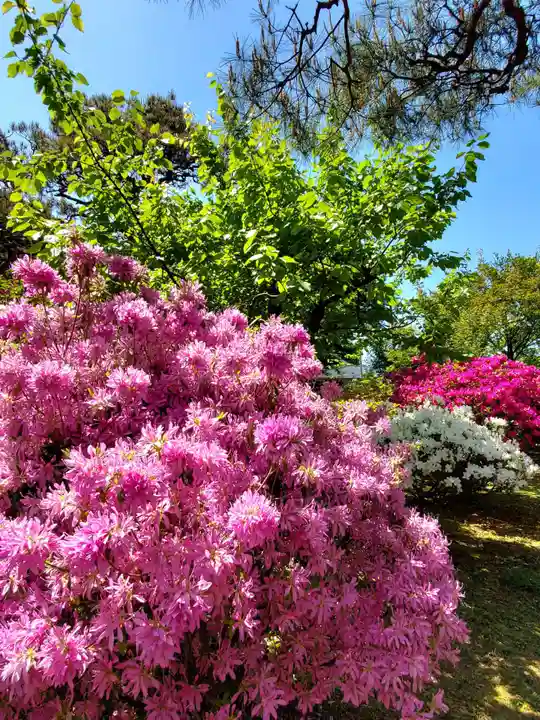 開成山大神宮(福島県)