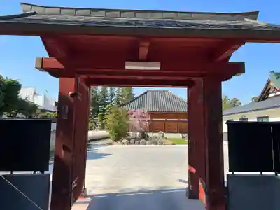 嶺松院の山門・神門