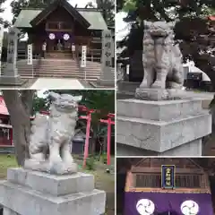 空知神社の狛犬