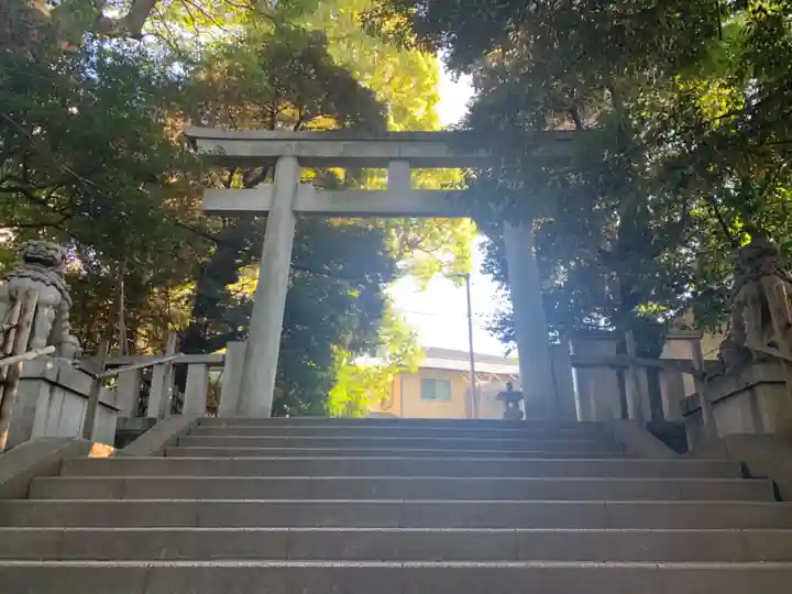 渋谷氷川神社の鳥居