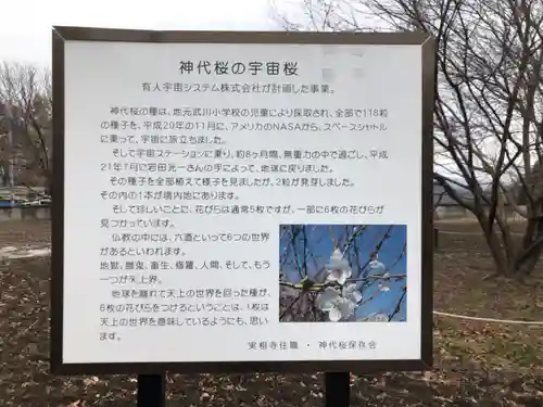 実相寺の建物その他