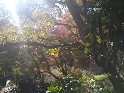 建長寺 半僧坊(神奈川県)