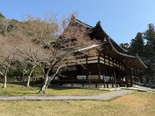 根来寺の{uncategorized: "未分類", other: "その他", undefined: "問題あり", building: "その他建物", grave: "お墓", sacred_gate: "鳥居", guardian: "狛犬", statue: "像", buddha: "仏像", history: "歴史", nature: "自然", garden: "庭園", animal: "動物", pagoda: "塔", temizu: "手水舎", mountain_gate: "山門・神門", sanctuary: "本殿・本堂", subordinate: "末社・摂社", art: "芸術", scenery: "景色", jizo: "地蔵", ema: "絵馬", goshuin: "御朱印", omikuji: "おみくじ", items: "授与品その他", amulet: "お守り", goshuincho: "御朱印帳", eats: "食事", festival: "お祭り", votive_dance: "神楽", shichigosan: "七五三参", wedding: "結婚式", experience: "体験その他", initially: "初詣", around: "周辺", anti_infection: "感染症対策"}