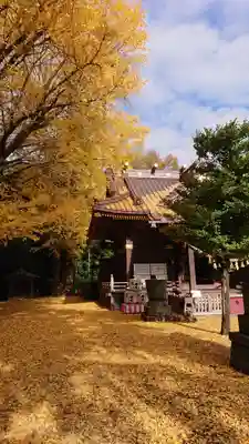 玉敷神社(埼玉県)