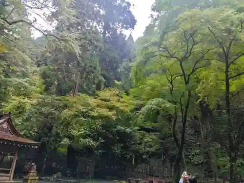 貴船神社奥宮(京都府)