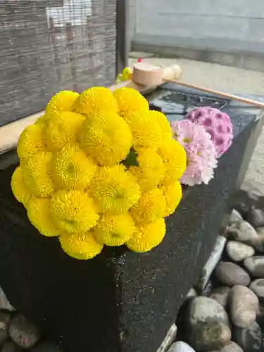 上尾御嶽神社の手水