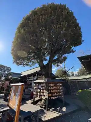 足利織姫神社(栃木県)