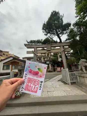 蒔田杉山神社の御朱印 2026年06月
