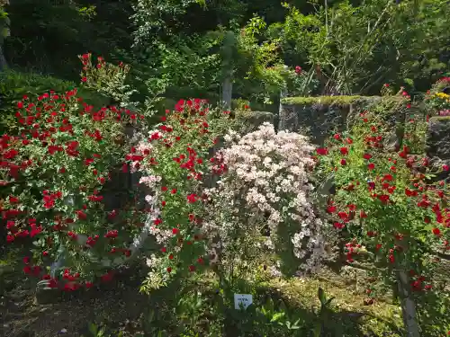 霊山寺(奈良県)