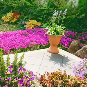 寿量山 速成寺の庭園(2020年05月05日(火) 15時26分55秒投稿)