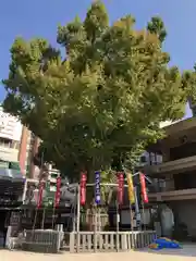 櫛田神社の建物その他