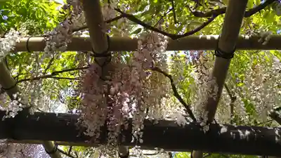 歌泉堂（春日大社神苑萬葉植物園内鎮座）(奈良県)