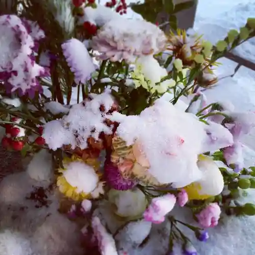 滑川神社 - 仕事と子どもの守り神の手水舎