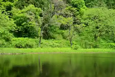 郡殿の池弁財天社(新潟県)