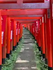 佐助稲荷神社の鳥居