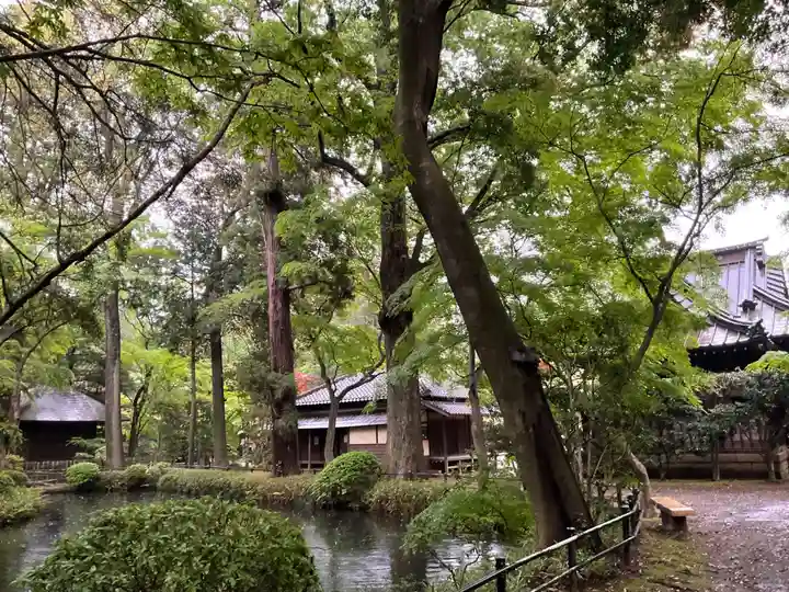 平林寺(埼玉県)