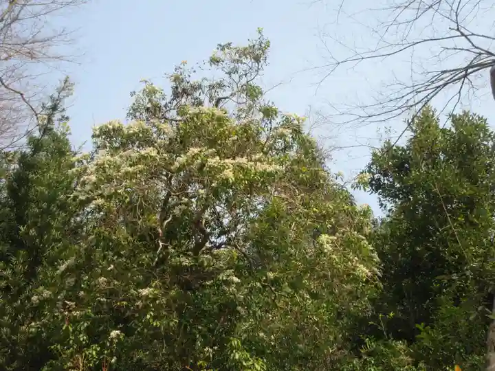日吉大社(滋賀県)