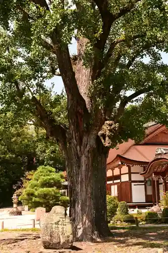 永保寺(岐阜県)