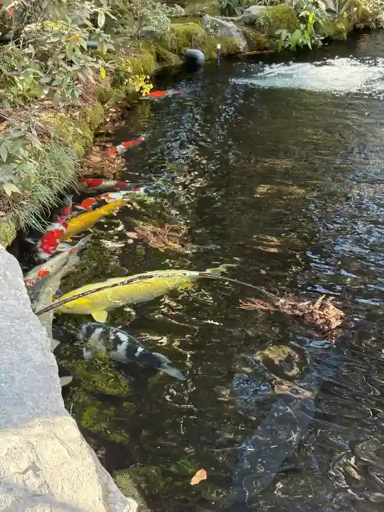 伊勢神宮内宮(皇大神宮)(三重県)