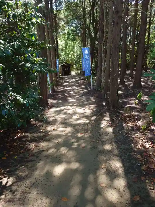 椿ノ海 水神社(千葉県)