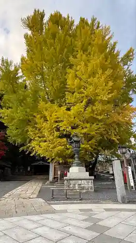 熊野大社(山形県)