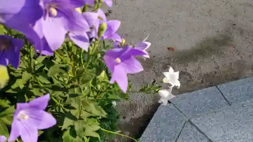 櫛田神社(福岡県)
