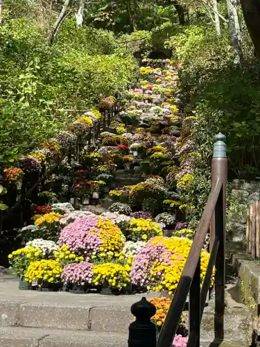 長谷寺(奈良県)