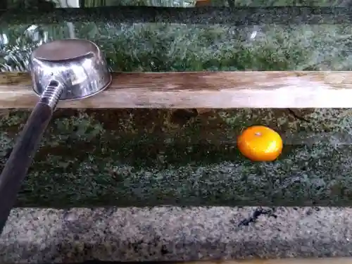 岡太神社・大瀧神社の手水舎