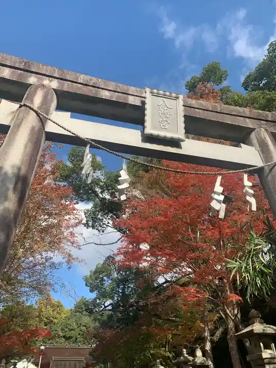 壺井八幡宮(大阪府)