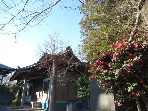 香取神社(千葉県)