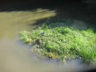 稱名寺(神奈川県)