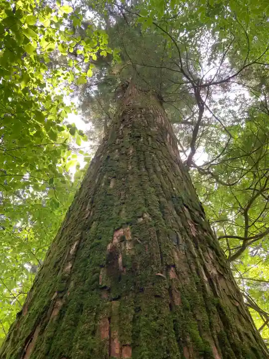瀧尾神社(日光二荒山神社別宮)(栃木県)