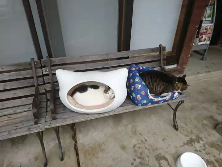 御誕生寺(猫寺)(福井県)