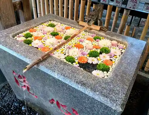 高円寺氷川神社(東京都)