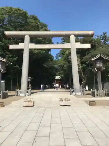 鹿島神宮の鳥居