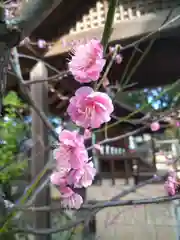 阿智神社の自然