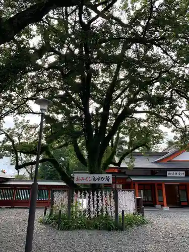 富士山本宮浅間大社の庭園