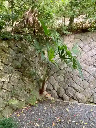 諸羽神社の自然