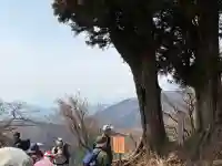 大山阿夫利神社本社の{uncategorized: "未分類", other: "その他", undefined: "問題あり", building: "その他建物", grave: "お墓", sacred_gate: "鳥居", guardian: "狛犬", statue: "像", buddha: "仏像", history: "歴史", nature: "自然", garden: "庭園", animal: "動物", pagoda: "塔", temizu: "手水舎", mountain_gate: "山門・神門", sanctuary: "本殿・本堂", subordinate: "末社・摂社", art: "芸術", scenery: "景色", jizo: "地蔵", ema: "絵馬", goshuin: "御朱印", omikuji: "おみくじ", items: "授与品その他", amulet: "お守り", goshuincho: "御朱印帳", eats: "食事", festival: "お祭り", votive_dance: "神楽", shichigosan: "七五三参", wedding: "結婚式", experience: "体験その他", initially: "初詣", around: "周辺", anti_infection: "感染症対策"}