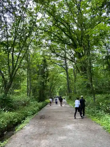 戸隠神社奥社(長野県)