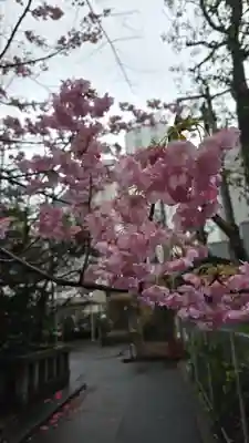 芝大神宮(東京都)